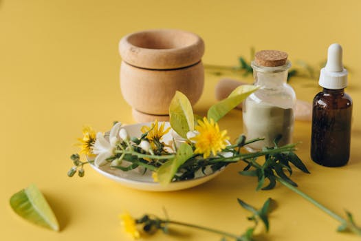 Best Czech Online Pharmacies for Herbal Medicines: A 2023 Guide